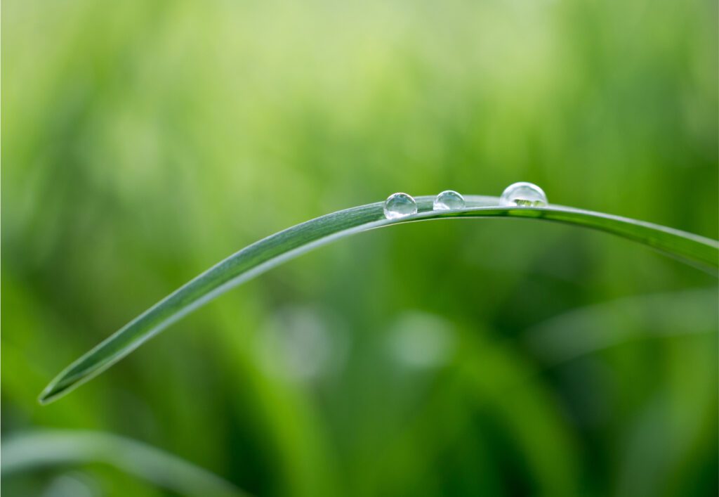 Esempio applicazione Schüco